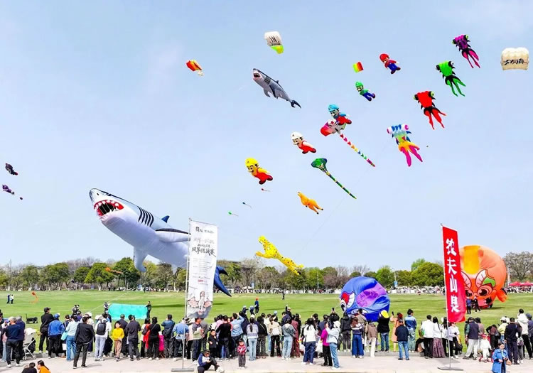 1775021454938528.jpg 微信图片_2026-04-01_131430_764.jpg