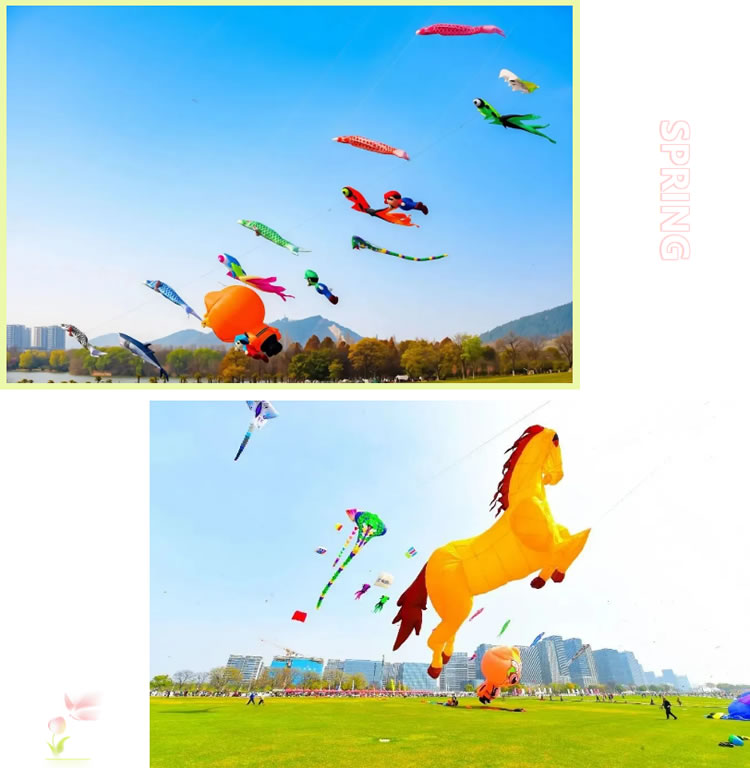 1775021493358586.jpg 01.jpg