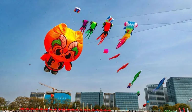 1775021515885165.jpg 微信图片_2026-04-01_131446_049.jpg