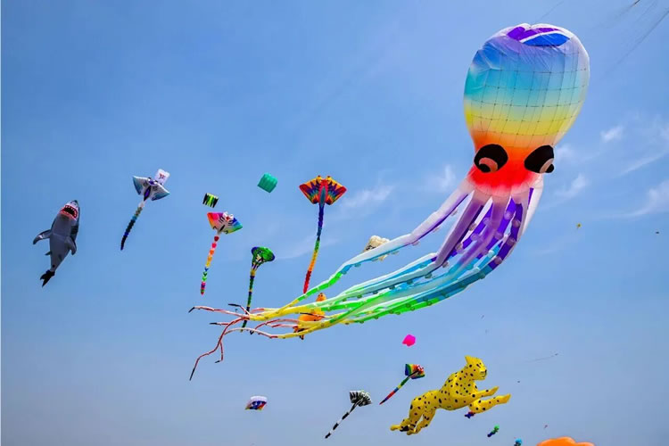 1775021700884077.jpg 微信图片_2026-04-01_131631_288.jpg